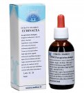 Echinacea - Estratto Spagirico