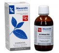 Echinacea - Macerato di Pianta Fresca Bio