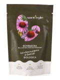 Echinacea Purpurea Bio