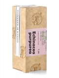 Echinacea Purpurea - Olio Compatto e Solido