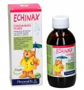 Echinax