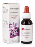 EIE Echinacea