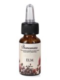 Elm - Fiori di Bach