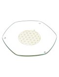 Energy Plate - Piatto Energetico con Fiore della Vita Oro - 22 Cm