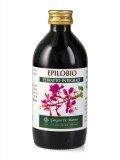 Epilobio - Estratto Integrale
