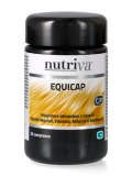 Equicap