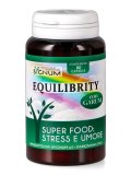 Equilibrity