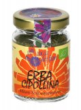 Erba Cipollina