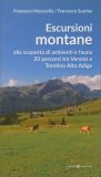 Escursioni Montane — Libro