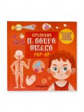 Esploriamo il Corpo Umano Pop-Up — Libro