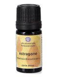 Estragone - Olio Essenziale Floripotenziato
