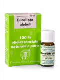 Eucalipto Globuli - Olio Essenziale Bio
