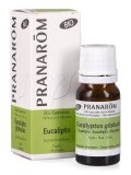 Eucalipto - Olio Essenziale Bio