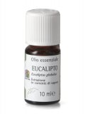 Eucalipto - Olio Essenziale