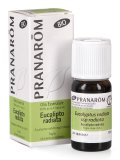 Eucalipto Radiata - Olio Essenziale