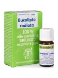 Eucalipto Radiata - Olio Essenziale Bio