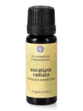 Eucalipto Radiata - Olio Essenziale Floripotenziato