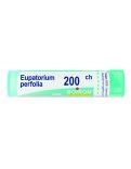 Eupatorium Perfoliatum Boiron 200CH Granuli
