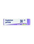 Eupatorium Perfoliatum Boiron 30CH Globuli Monodose
