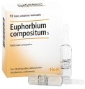 Euphorbium Compositum S Heel 10 Fiale