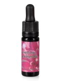 Evening Primerose - Fiori Californiani - Dose