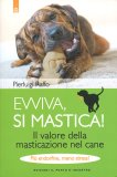 Evviva, si Mastica! — Libro