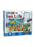 Explore the Sea Life