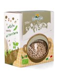 Fagioli Risina Bio