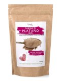 Farina di Plartano Bio