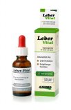 Fegato Vital