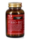 Ferro + B12