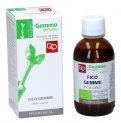 Fico Gemme - Gemmoderivato