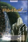 Il Figlio di Davide? — Libro