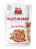 Filetti con Salmone in Salsa per Gatti
