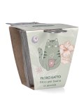 Filtro Gatto per Tisana in Acciaio