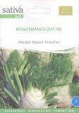 Semi di Finocchio Montebianco