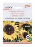 Semi di Fiore Annuale Girasole Hella