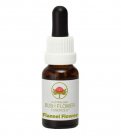 Flannel Flower - Fiori australiani - 15 ml