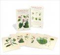 Flower Plates - 6 Stampe Botaniche - Flore d'Oware et de Bénin, en Afrique — Libro