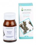 Fucus - Compresse