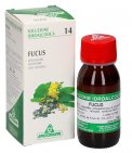 Fucus - Quercia Marina Tallo - Soluzione Idroalcolica 14