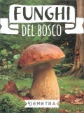 Funghi del Bosco — Libro