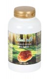 Fungo Reishi Biologico - 150 Capsule