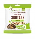 Fungo Shiitake Secco