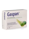 Gaspan