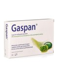 Gaspan