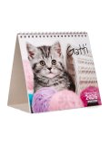 Gatti Calenario 2026 Pocket — Calendario