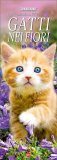 Gatti nei Fiori Calendario 2026 — Calendario
