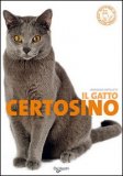Il Gatto Certosino — Libro