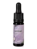 Gentian - Dose